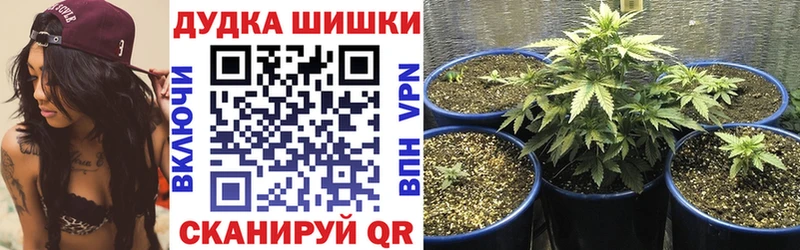 Шишки марихуана план  Королёв 